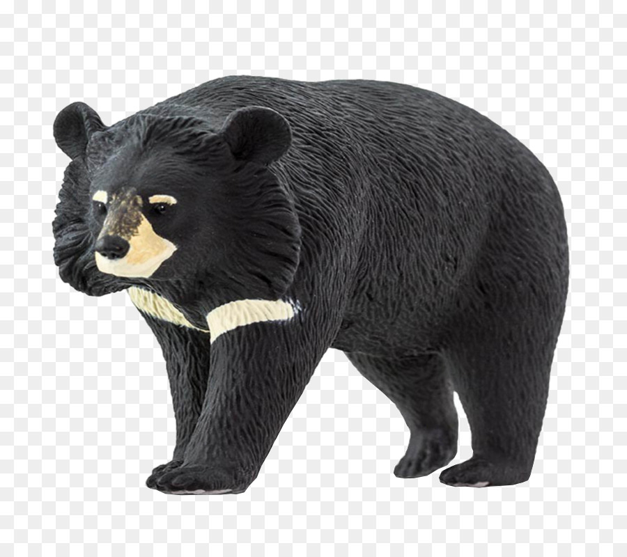 Orso nero americano Asiatico orso nero Safari Ltd Fauna selvatica Tasca Costruire - altri