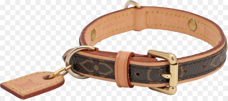Cintura Collar Strap Clip art - cintura