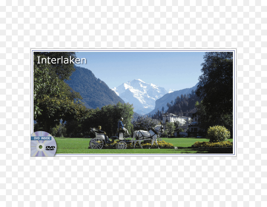 Lausanne Grindelwald Hồ Thun Grindelwald Toà-Gafri - Giường Và Sáng **** - Giường và làm bữa Sáng - khách sạn