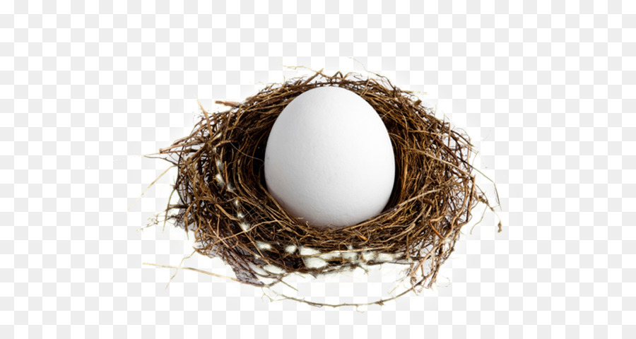 Individual retirement account Roth IRA, 401(k) piano di Pensionamento - nido d'uovo