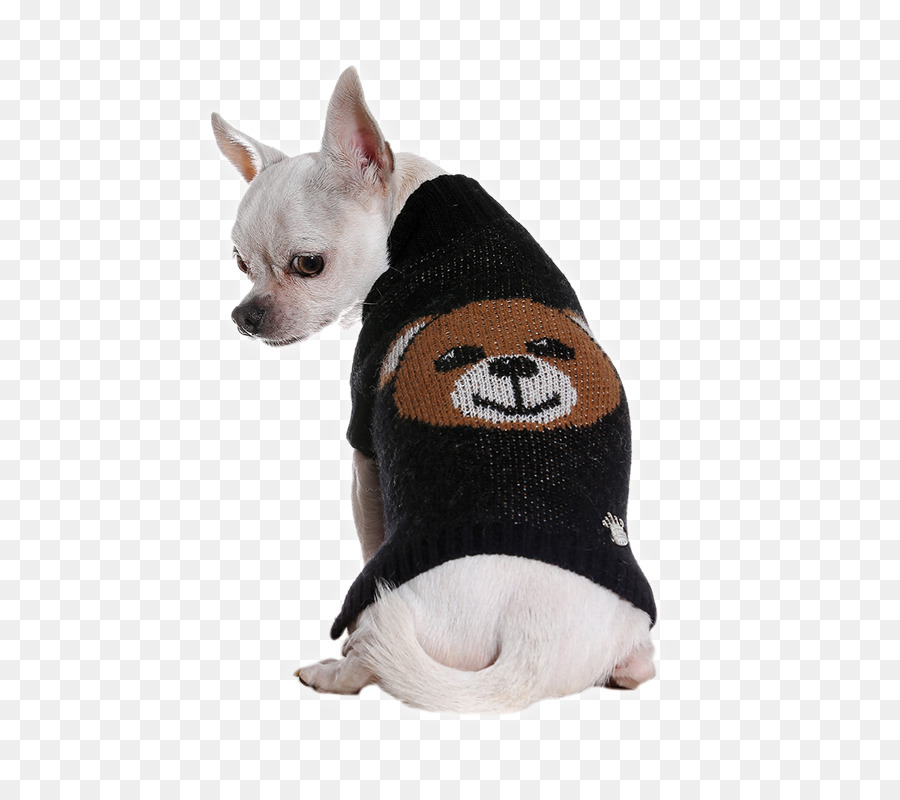 Merino Hunderasse Wolle Mantel Chihuahua - temporary spa agentur für arbeit