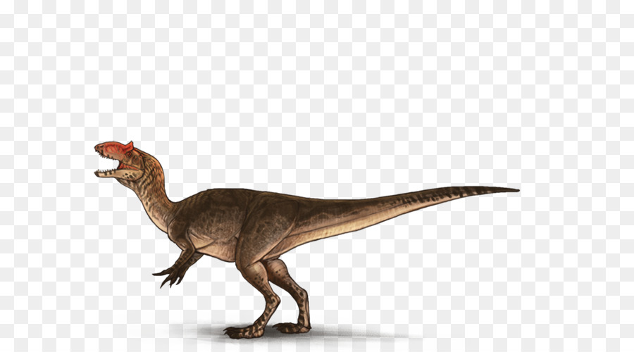 Tyrannosaurus Velociraptor animali Terrestri - L'allosauro brillava