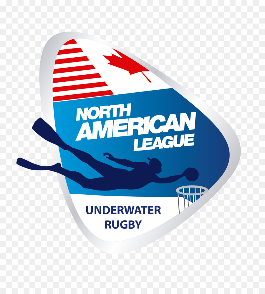 National Arena League Logo