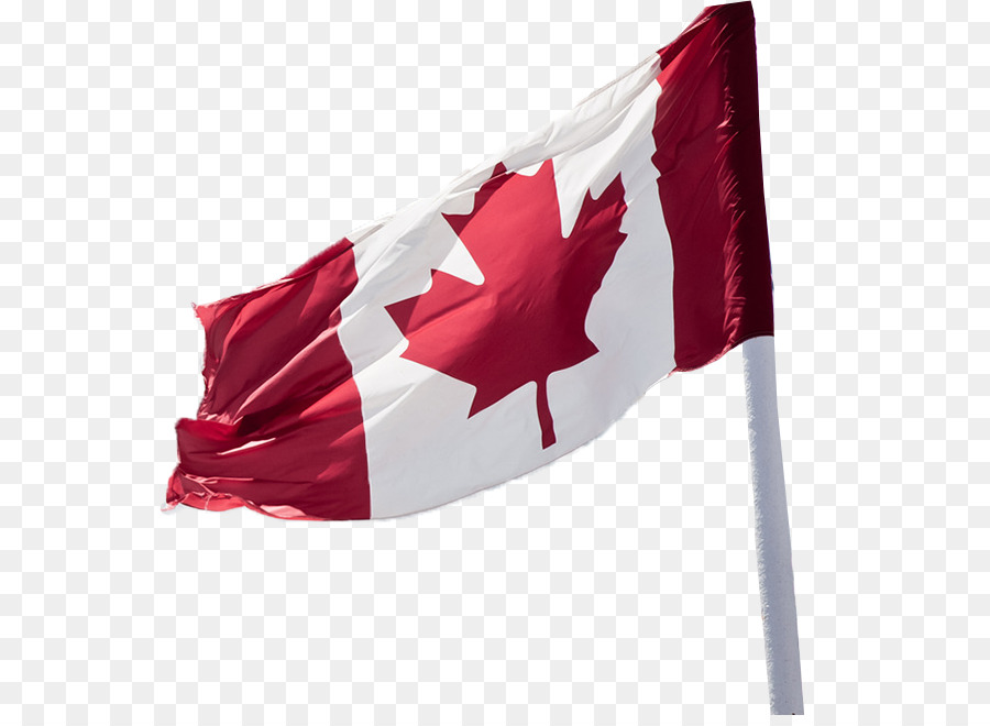Bandiera del Bandiera del Canada di Canada fotografia Stock - studiare in canada
