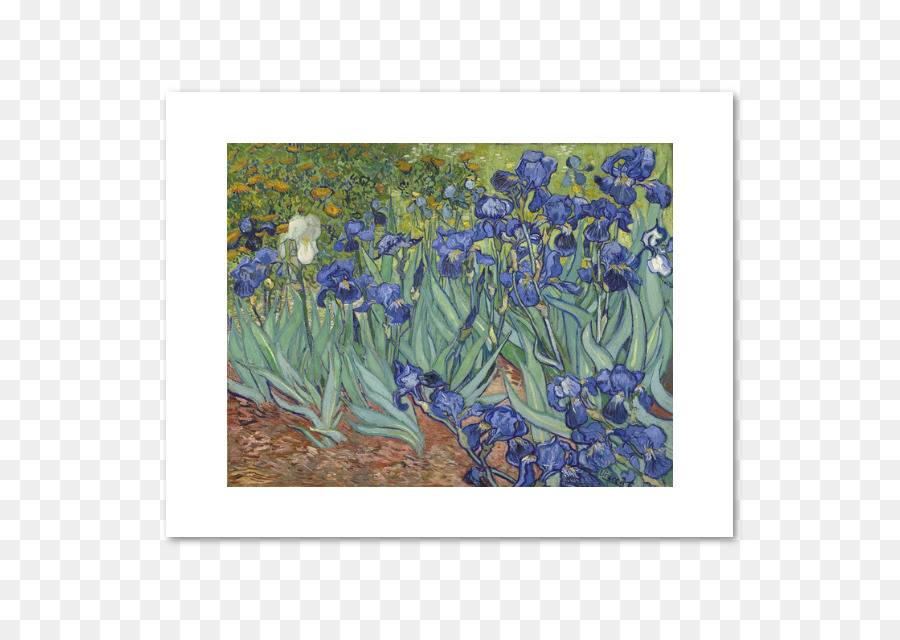 Oil Painting Flower
