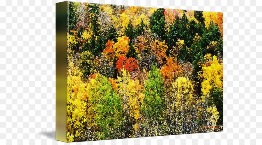 Gemäßigten laubbaum und gemischten Wald Herbst Baum Biome - Aquarell laub