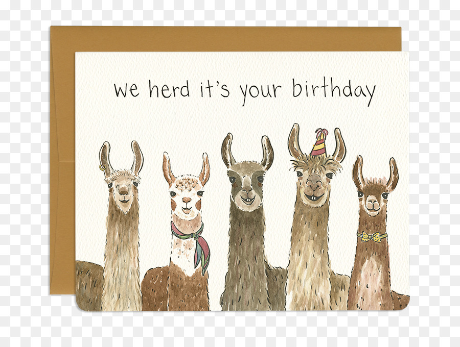Lama Saluto & Carte Di Nota Compleanno Alpaca Regalo - compleanno