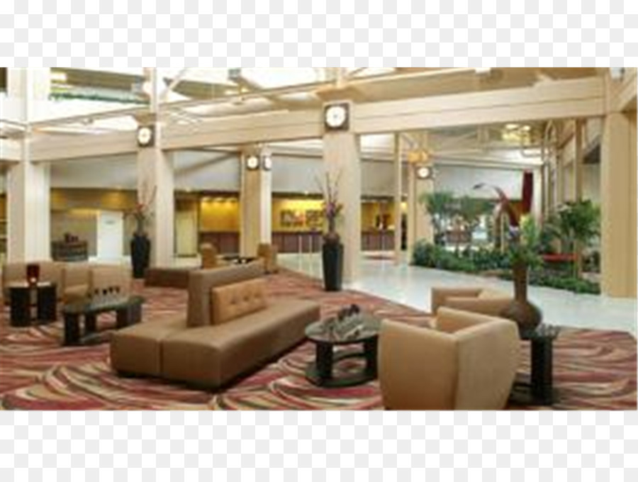Jacksonville Costa Wyndham Jacksonville Riverwalk Lexington Hotel & Conference Center - Jacksonville Riverwalk Marriott International - wyndham hotels & resorts