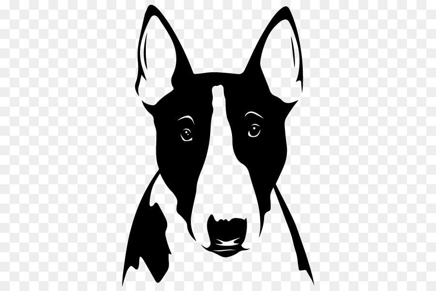Wonderful giống Chó săn Boston Wales Terrier Pit bull - con chó con