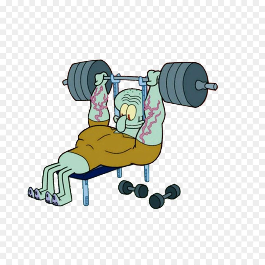 Horse Cartoon png download - 1000*1000 - Free Transparent Weight TRAINING  png Download. - CleanPNG / KissPNG