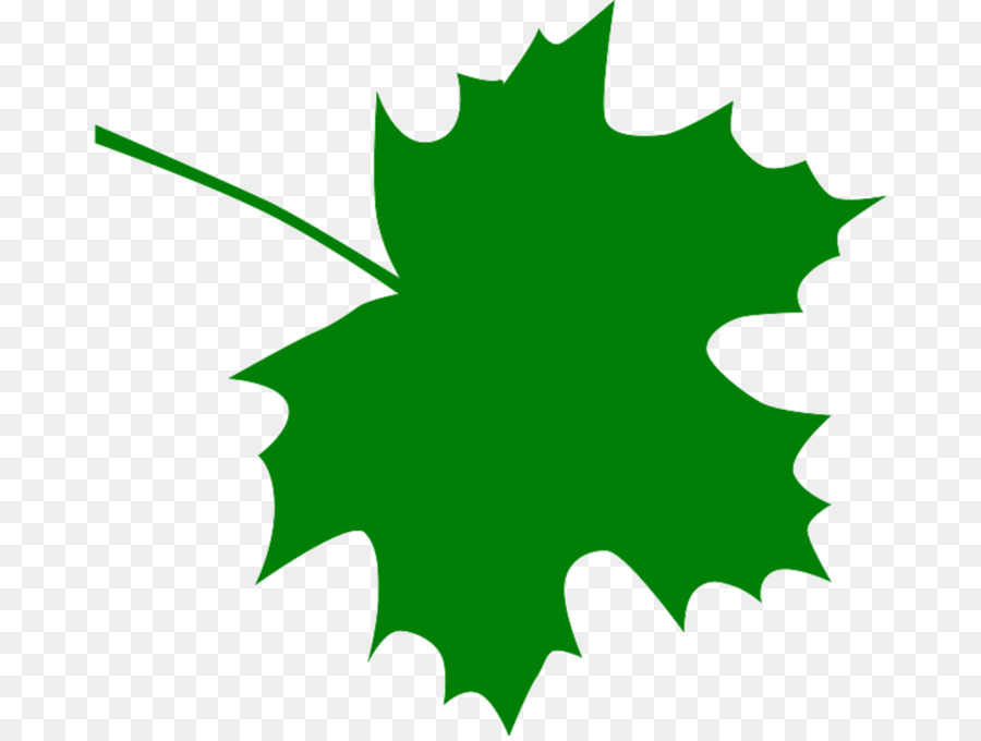 Sugar maple Maple leaf Clip art - Blatt