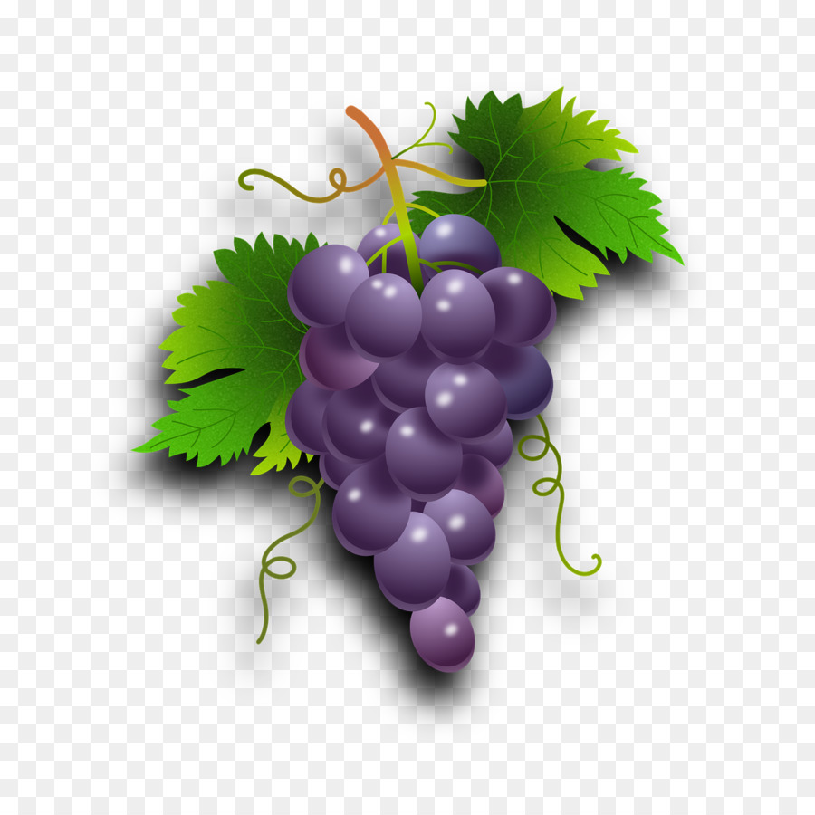 Weinrebe Wein, Kernlose Früchte - Traube