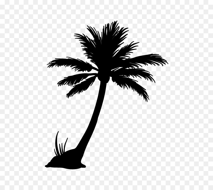 Arecaceae, Silhouette, Coconut, Tree, Drawing, Plant, Woody Plant, Black An...