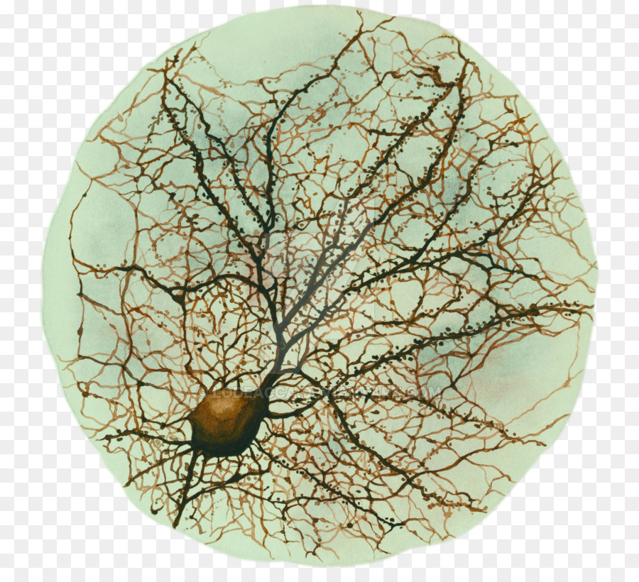 Neuron Zeichnung Hippocampus Neuroscience-Aquarell - Gehirn Aquarell