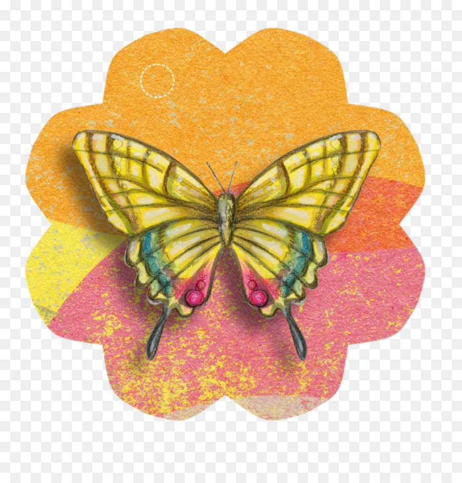 Mestiere di carta Farfalla Saluto & Carte di Nota Clip art - farfalla