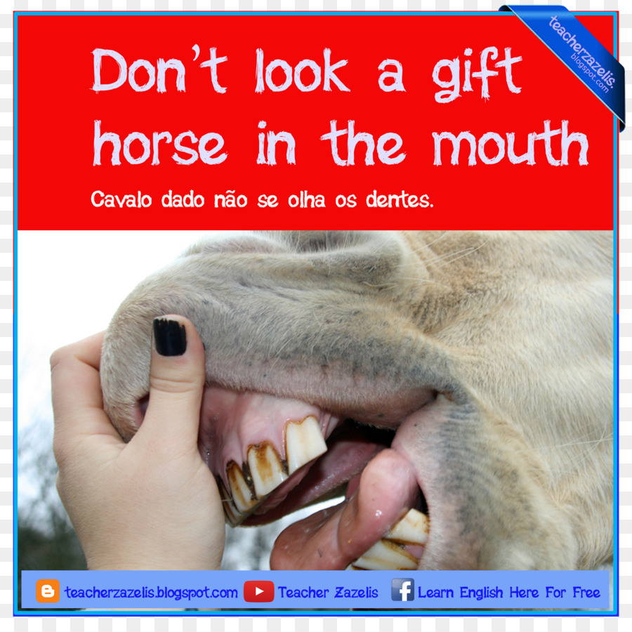 Tooth for a tooth - Idioms by The Free Dictionary