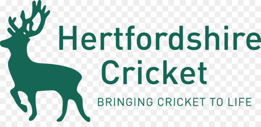 Hertfordshire County Cricket Club, Der Essex County Cricket Club, Kolkata Knight Riders Hertfordshire Cricket League - Cricket