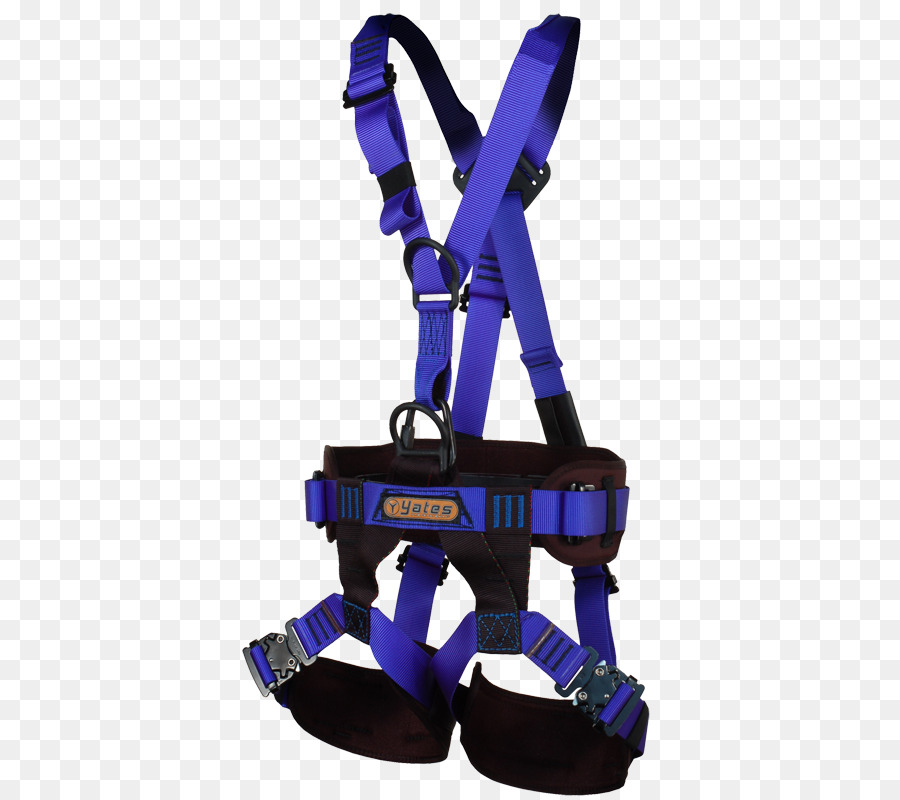 Climbing Harnesses Blue