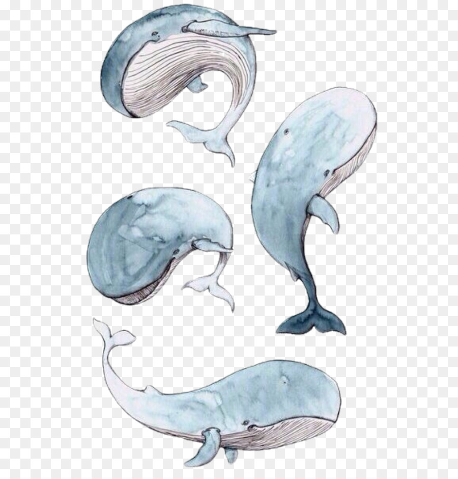 Dolphin Cetacea di Disegno pittura ad Acquerello Stampa - Delfino