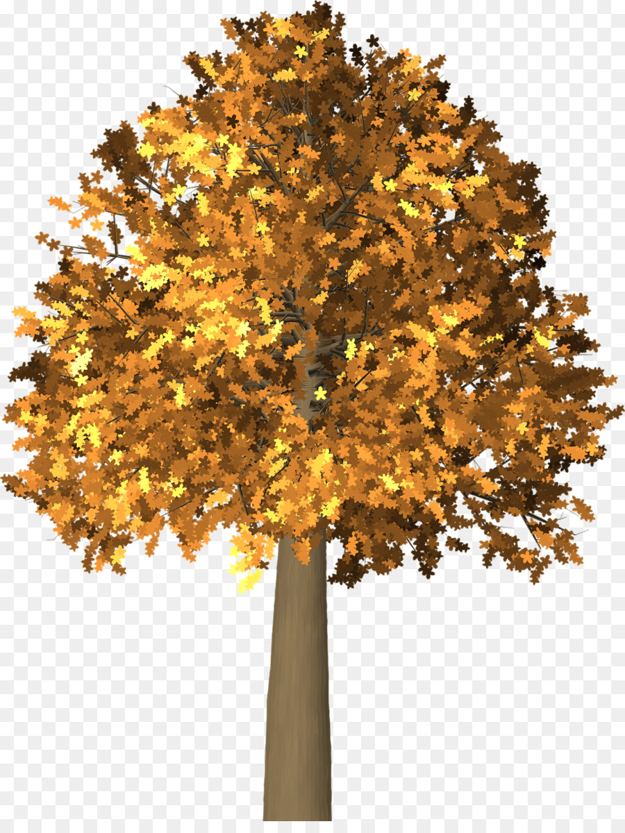 Mùa thu màu lá Cây Clip nghệ thuật - mùa thu