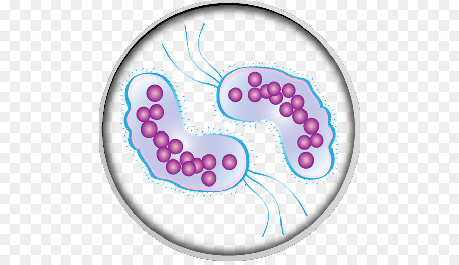 Vi Khuẩn Nhiễm Virus Clip nghệ thuật - vi khuẩn