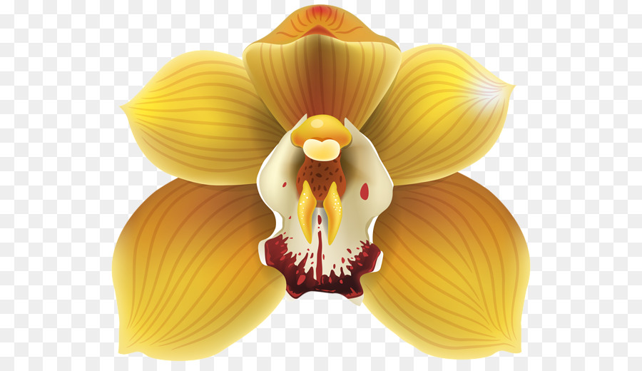 Hoa Hồng Ansellia Clip nghệ thuật - hoa