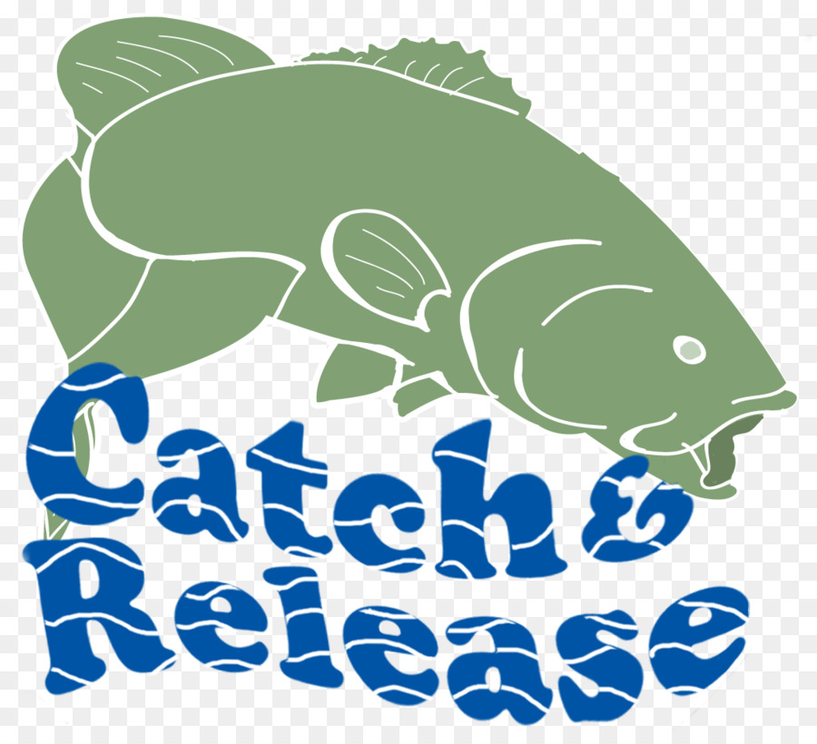 Catch and release Bass fishing, Bass fishing Clip-art - Angeln