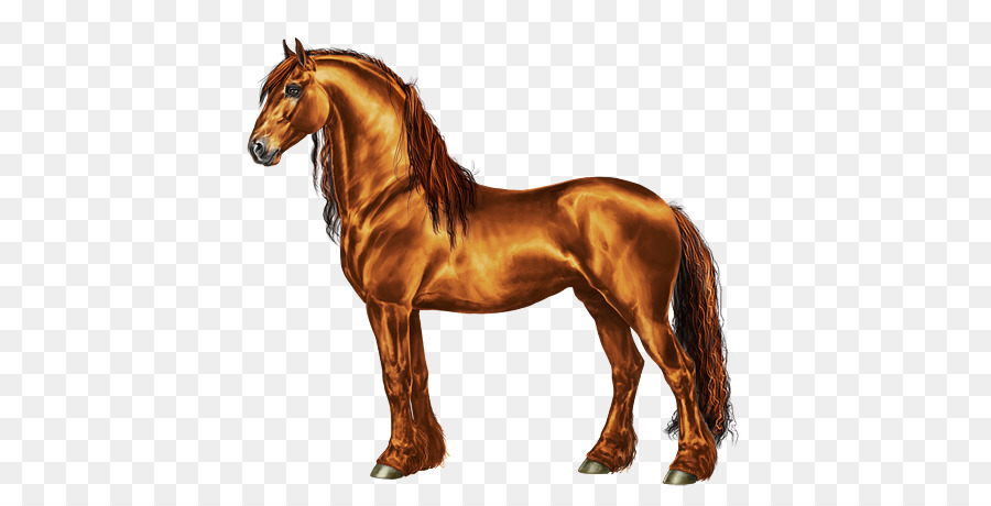 Mähne Mustang Hengst Pony Stute - Mustang