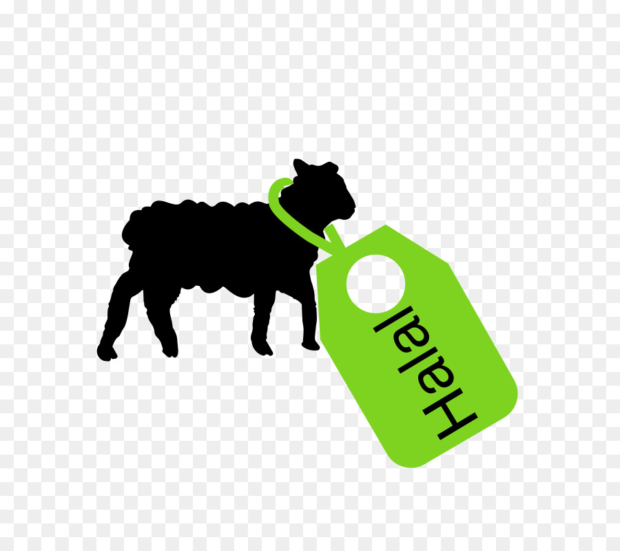 Schaf, Lamm und Hammel-Ziegen-Rinder - Schafe