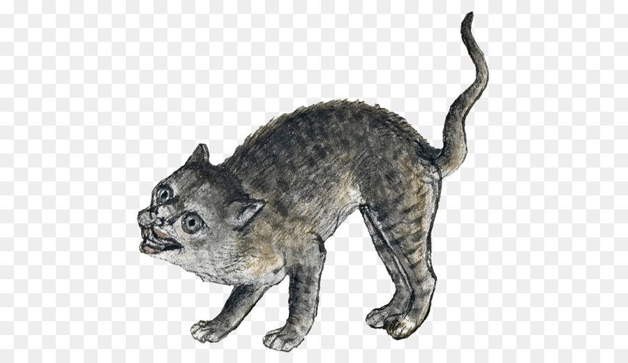 Schnurrhaare Wildcat Mittelalter Mittelalterliche Kunst - Katze