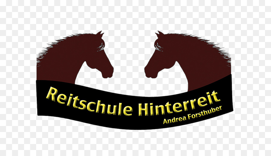 Reitschule Hinterreit, Andrea Forsthuber Mustang Vetterbach Equestrian Anthering - Mustang
