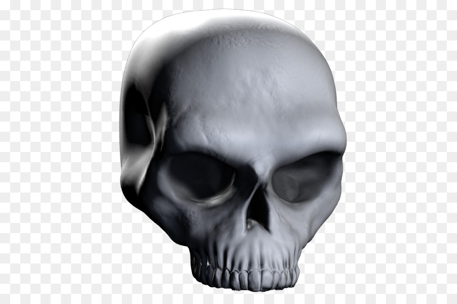 Calavera ZBrush Rendering Cranio di computer grafica 3D - cranio
