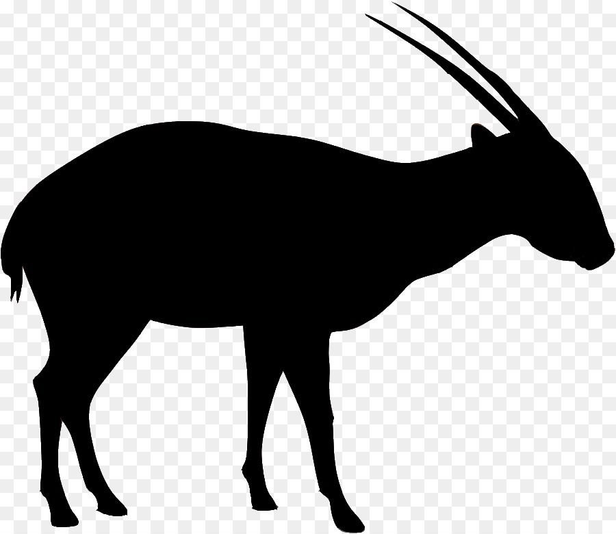Antilope Saola Annamite Bereich Oryx Paarhufer - andere