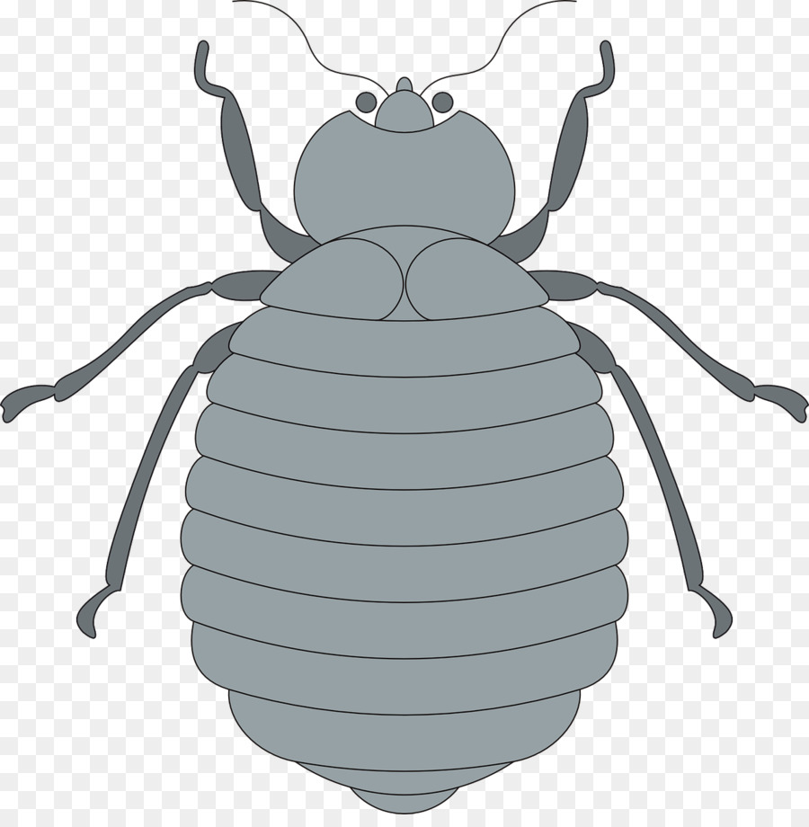 Computer Icons Clip art - Insekten