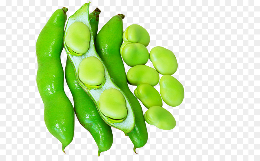 Pea Lima Edamame Bohnen-Vegetarische Küche-Common Bean - Erbse