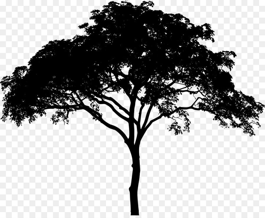 albero silhouette - albero