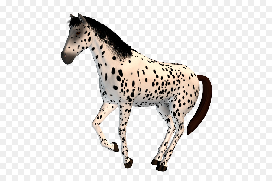 Mustang Con Ngựa Ngựa Pony Dây - mustang