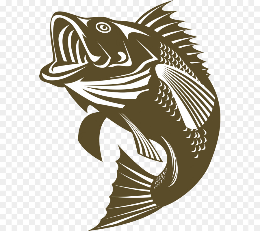Vược miệng to cá Bass - câu cá