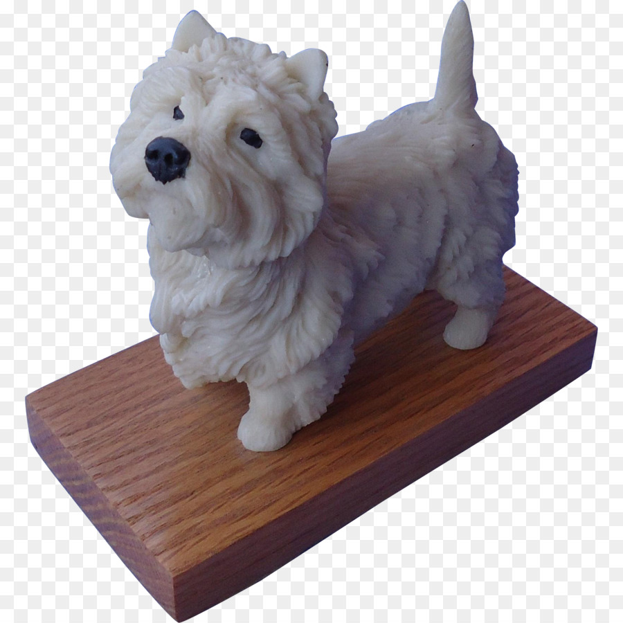 Norwich Terrier West Highland White Terrier, Malteser Hund, Lhasa Apso, Yorkshire Terrier - Welpen