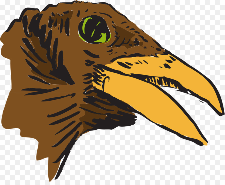 Eagle Drawing