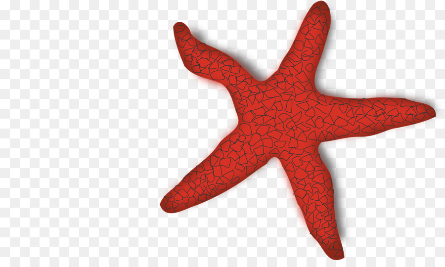 Clip art di stelle marine - stella marina