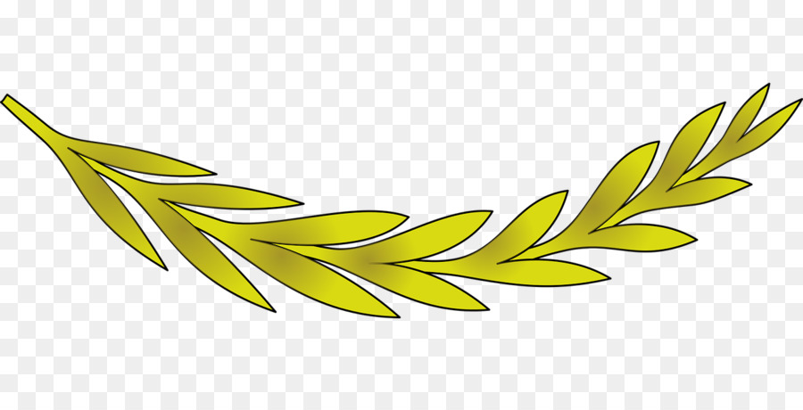 Di foglie di olivo foglie di Olivo Olive branch Clip art - oliva
