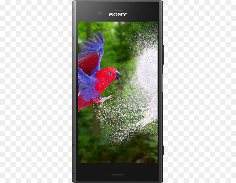 Sony Xperia XZ1 Compatta Sony Xperia XA1 Sony Xperia P, Sony Xperia XZ Premium - smartphone