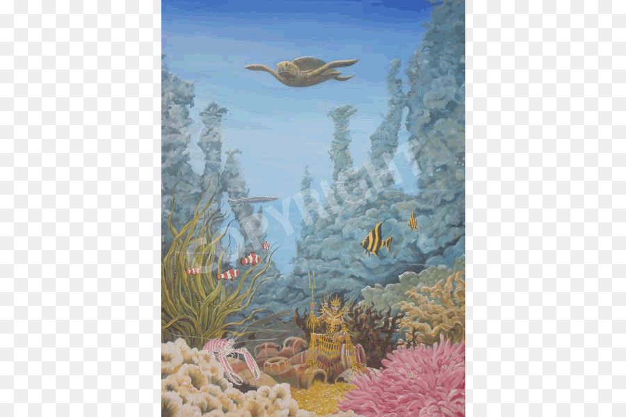 Coral reef Marine Biologie, Tierwelt, Unterwasser Ökosystem - Himmel Meer