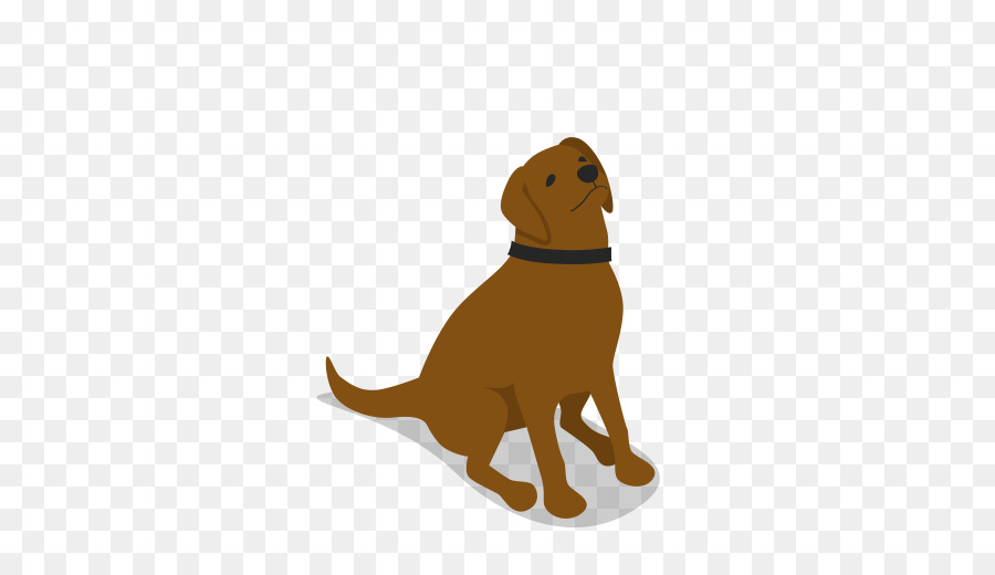 Labrador Con Chó giống con chó Đồng - con chó con