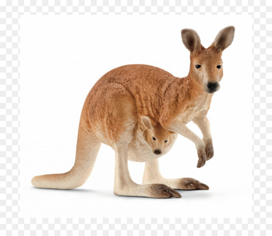 Schleich gr Hành Đồ chơi Con Kangaroo - đồ chơi
