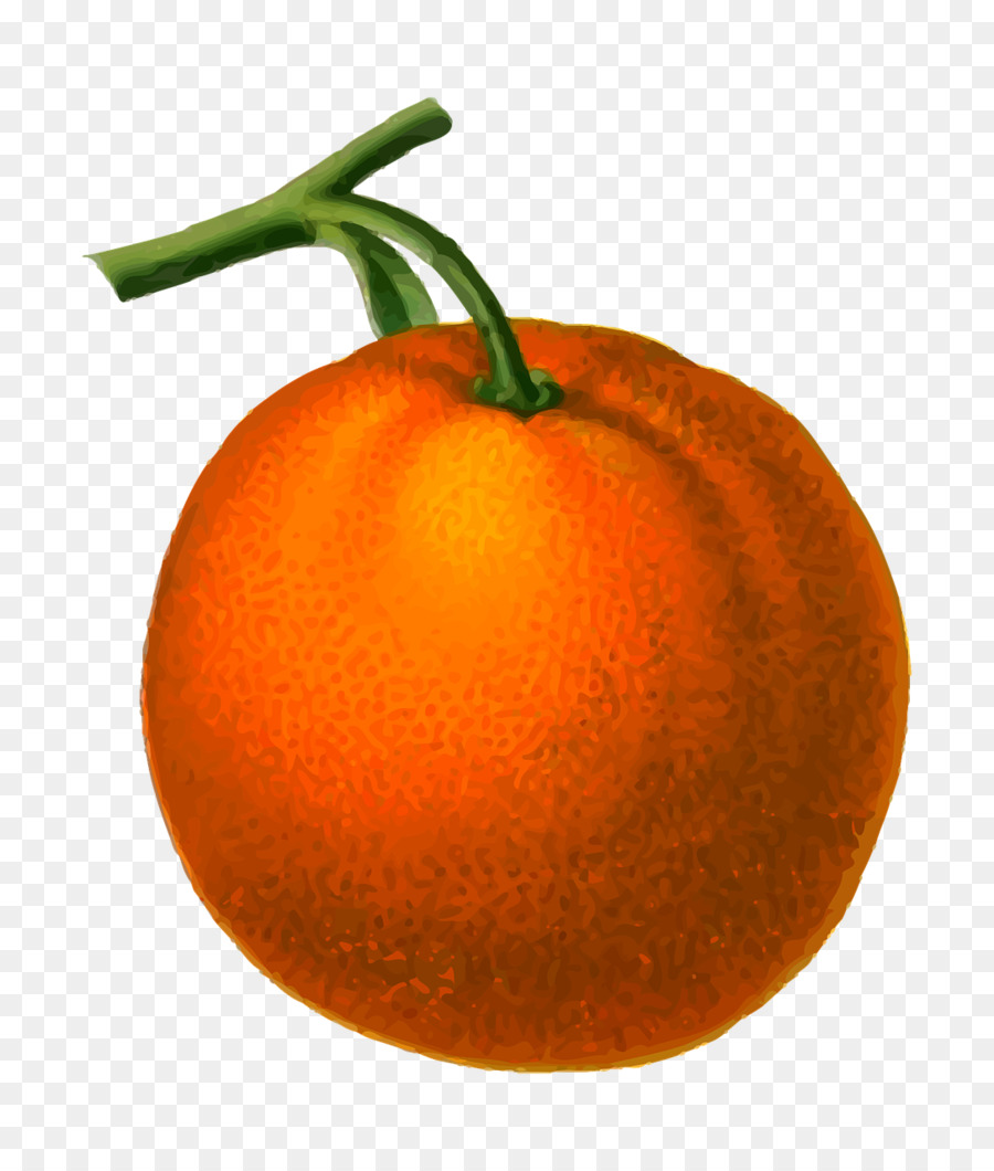 Clementina, Mandarino, arancia rossa Clip art - arancione