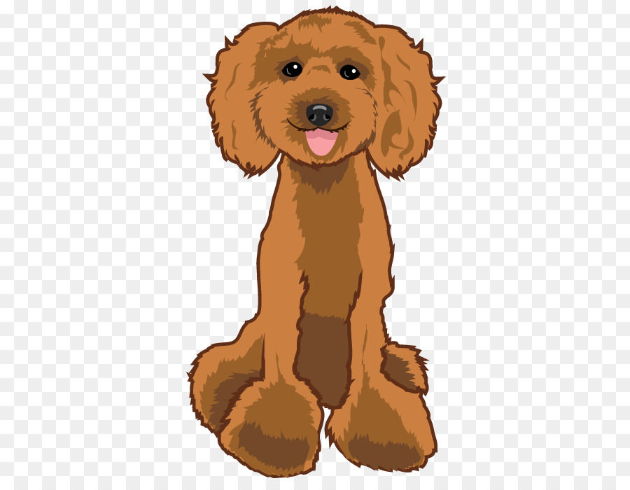 Cane razza Cucciolo di Barboncino Spaniel cane da compagnia - cane barboncino