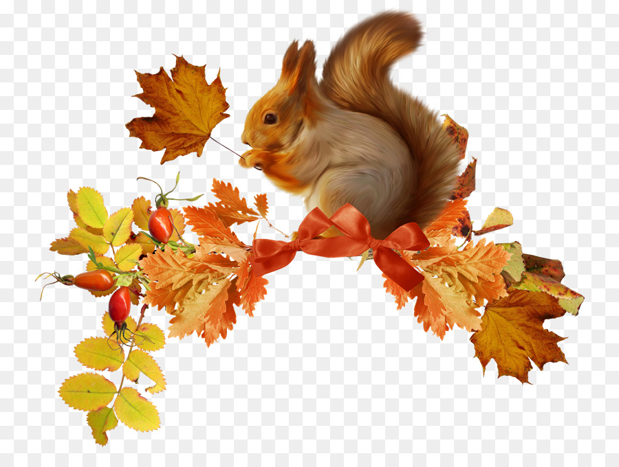 Eichhörnchen, Herbst Clip art - dn