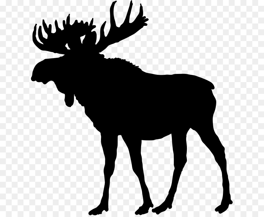 Elch Deer Silhouette ClipArt - Bullen Silhouette